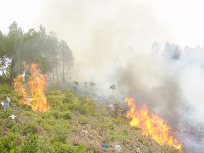 “Giặc lửa” lại thiêu rụi hơn 30ha rừng  - 1