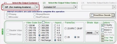 Hướng dẫn tạo ảnh động từ đoạn video yêu thích - 9 Hướng dẫn tạo ảnh động từ đoạn video yêu thích - 9