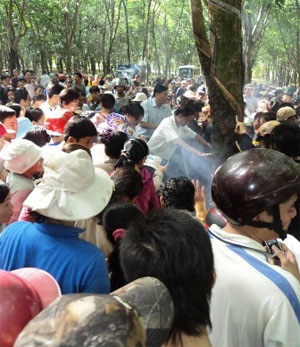 Náo loạn vì gò mối hình Đức Phật - 2