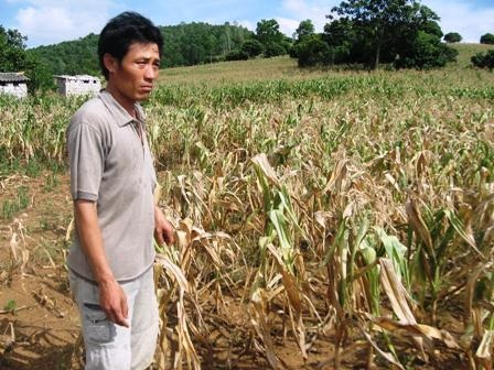 Người dân “oằn mình” trong đại hạn - 1