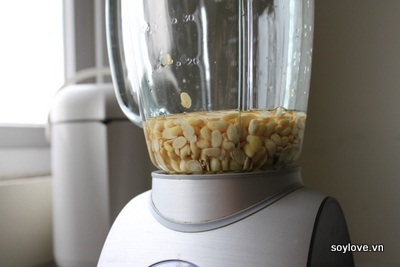 Cách làm tào phớ không cần thạch cao - 2