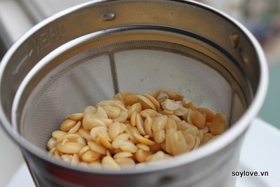 Cách làm tào phớ không cần thạch cao - 8