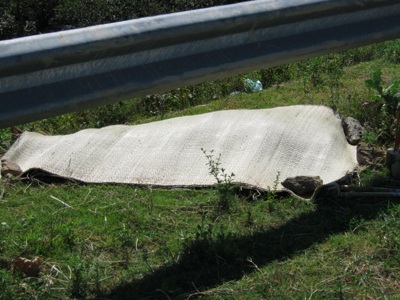 Phát hiện xác chết ở nơi thường xảy ra giết, cướp - 1