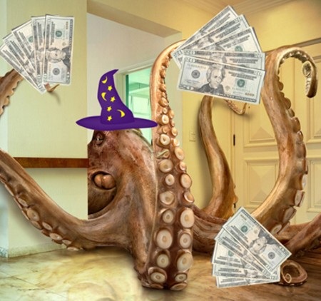 10 điều lý thú về “thầy” bạch tuộc Paul - 3