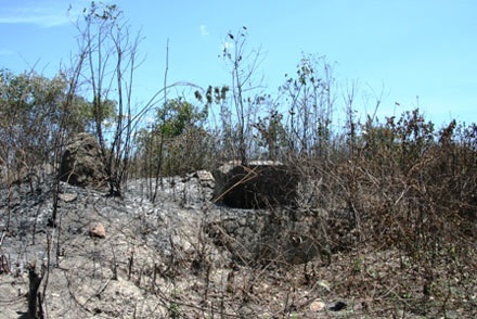 Cháy lớn ở nghĩa địa, hàng trăm hộ dân khiếp vía - 2