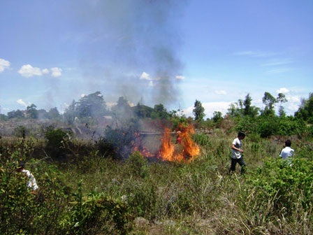 Cháy lớn ở nghĩa địa, hàng trăm hộ dân khiếp vía - 1
