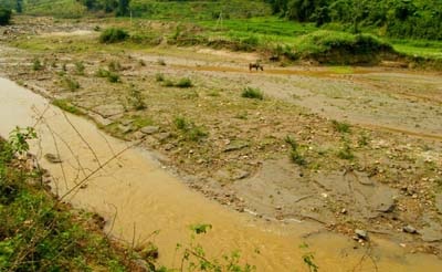 Sống gần sông vẫn khắc khoải khát nước - 1