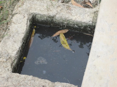 Rùng mình khi “thăm” bãi rác thải của bệnh viện - 11