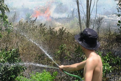 Tiếp tục cháy lớn ở khu nghĩa địa  - 1