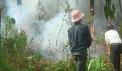 “Giặc lửa” tàn sát rừng miền tây xứ Nghệ  - 2