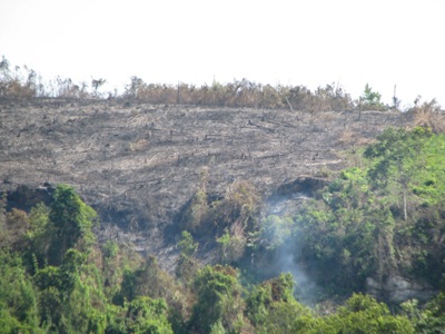 “Giặc lửa” tàn sát rừng miền tây xứ Nghệ  - 7