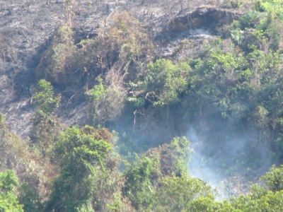 “Giặc lửa” tàn sát rừng miền tây xứ Nghệ  - 8