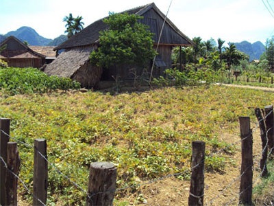 Chia gạo cứu đói ở Quảng Bình: Cán bộ xã cũng “đói”! - 1