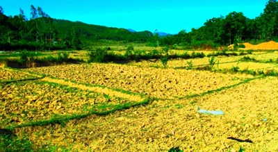 Cận cảnh xã nghèo bị “nước đỏ” tấn công  - 9