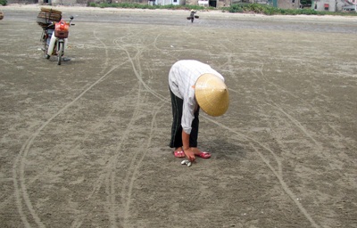 Hắt hiu chợ biển Thạch Kim  - 12