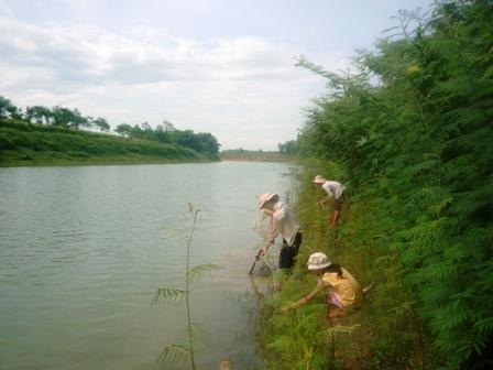 Làng cào hến đổi đời nhờ cổ vật - 1