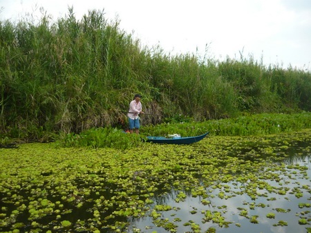 Thú giăng câu ở U Minh thượng - 3
