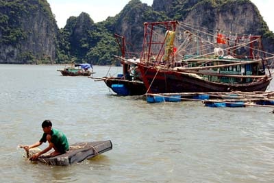 Vùng dự báo tâm bão sẵn sàng... đón bão - 7 Vùng dự báo tâm bão sẵn sàng... đón bão - 7