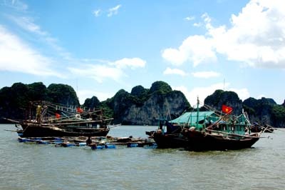 Vùng dự báo tâm bão sẵn sàng... đón bão - 8 Vùng dự báo tâm bão sẵn sàng... đón bão - 8