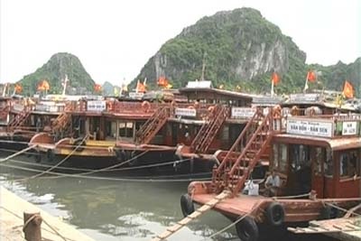 Vùng dự báo tâm bão sẵn sàng... đón bão - 11 Vùng dự báo tâm bão sẵn sàng... đón bão - 11