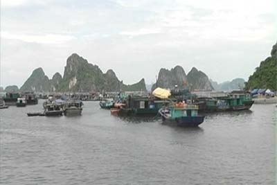Vùng dự báo tâm bão sẵn sàng... đón bão - 12 Vùng dự báo tâm bão sẵn sàng... đón bão - 12