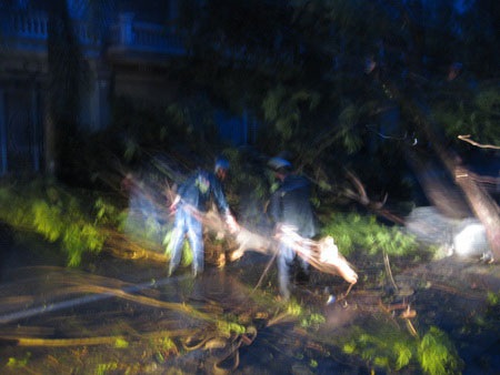 Video gió giật bật gốc cổ thụ trước Nhà Hát Lớn - Hải Phòng - 1 Video gió giật bật gốc cổ thụ trước Nhà Hát Lớn - Hải Phòng - 1