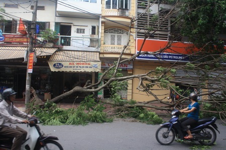 Bạn đọc gửi ảnh: Hải Phòng sau bão - 6 Bạn đọc gửi ảnh: Hải Phòng sau bão - 6