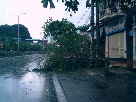 Chùm ảnh: Quảng Ninh xác xơ sau bão - 7