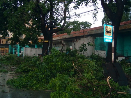 Chùm ảnh: Quảng Ninh xác xơ sau bão - 10