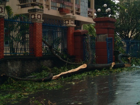 Chùm ảnh: Quảng Ninh xác xơ sau bão - 8