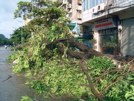 Chùm ảnh: Quảng Ninh xác xơ sau bão - 9