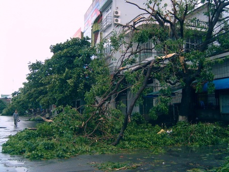 Chùm ảnh: Quảng Ninh xác xơ sau bão - 5