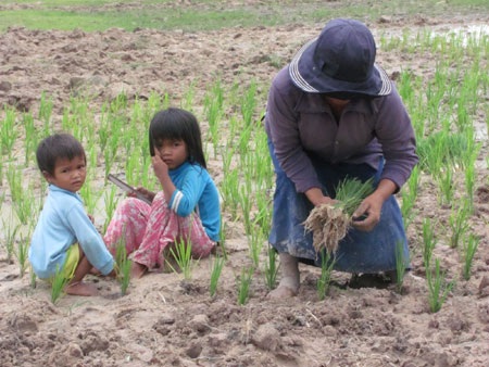 Những mùa hè bị “đánh cắp” - 2