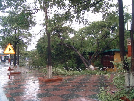 Chùm ảnh: Quảng Ninh xác xơ sau bão - 6