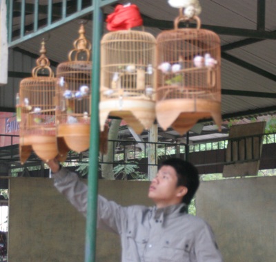 Thú chơi chim của giới trẻ Hà Thành - 1