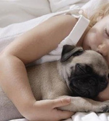 9 “ổ vi khuẩn” xung quanh ta - 4 9 “ổ vi khuẩn” xung quanh ta - 4