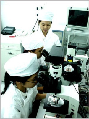 Nghiên cứu mới đem lại tin vui cho bệnh nhân gút - 1