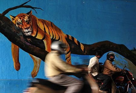 Kho bích hoạ sống động trên đường phố Bangalore - 5