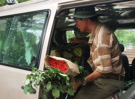 12.000 bông hồng Đà Lạt “cài lên” mộ liệt sĩ - 1