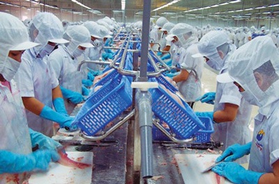 Thời tiết “giết” doanh nghiệp chế biến thủy sản - 1 Thời tiết “giết” doanh nghiệp chế biến thủy sản - 1