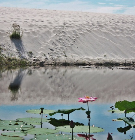Chùm ảnh: Ngoạn cảnh cung đường Nha Trang - Cam Ranh - 10 Chùm ảnh: Ngoạn cảnh cung đường Nha Trang - Cam Ranh - 10