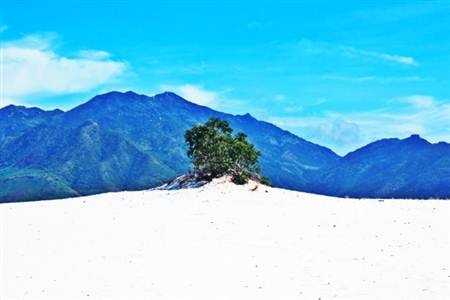 Chùm ảnh: Ngoạn cảnh cung đường Nha Trang - Cam Ranh - 8 Chùm ảnh: Ngoạn cảnh cung đường Nha Trang - Cam Ranh - 8