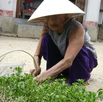 Thăm mẹ liệt sĩ 120 tuổi - 2 Thăm mẹ liệt sĩ 120 tuổi - 2