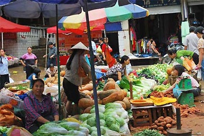 Nông sản Trung Quốc “sống khỏe” trên thị trường Việt - 1 Nông sản Trung Quốc “sống khỏe” trên thị trường Việt - 1