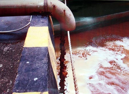 Vedan đồng ý đền bù 100% thiệt hại cho nông dân 2 tỉnh - 1 Vedan đồng ý đền bù 100% thiệt hại cho nông dân 2 tỉnh - 1