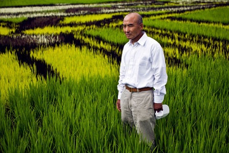 Nghệ thuật “vẽ tranh” độc đáo trên cánh đồng lúa Nhật Bản - 3