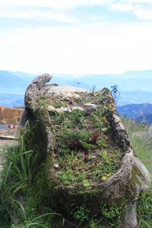 Lên đỉnh Hòn Bà thăm nhà Yersin - 9 Lên đỉnh Hòn Bà thăm nhà Yersin - 9