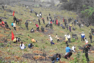 Làm gì để người dân miền núi sống gắn bó với rừng?  - 2