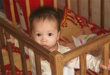 Số phận éo le của 19 sinh linh bị chối bỏ - 7 Số phận éo le của 19 sinh linh bị chối bỏ - 7