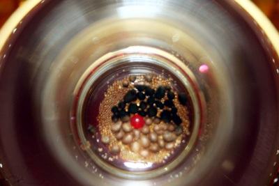 Hoàng gia Thái Lan cúng dường xá lợi Phật chào mừng Đại lễ Thủ đô - 7 Hoàng gia Thái Lan cúng dường xá lợi Phật chào mừng Đại lễ Thủ đô - 7